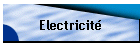 Electricit